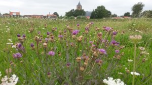 Karolingische Burcht Souburg