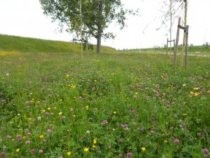 Nieuwlandse weg en Torenweg.