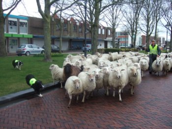 Vertrek Karolingen Burcht