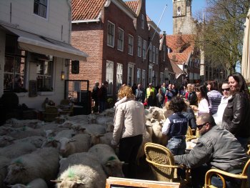 Vrijwilligers gezocht.